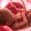 LA VIE HUMAINE: UN DON - UN MIRACLE - UNE SEULE OPPORTUNITE 